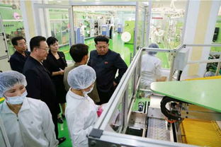 金正恩视察卫生用品工厂 要求图案设计迈向国际标准，展现国家形象新高度